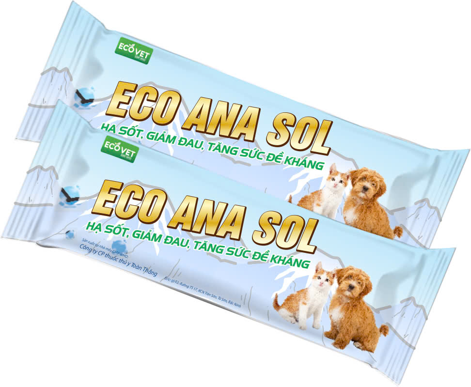 Thuốc hạ sốt giảm đau